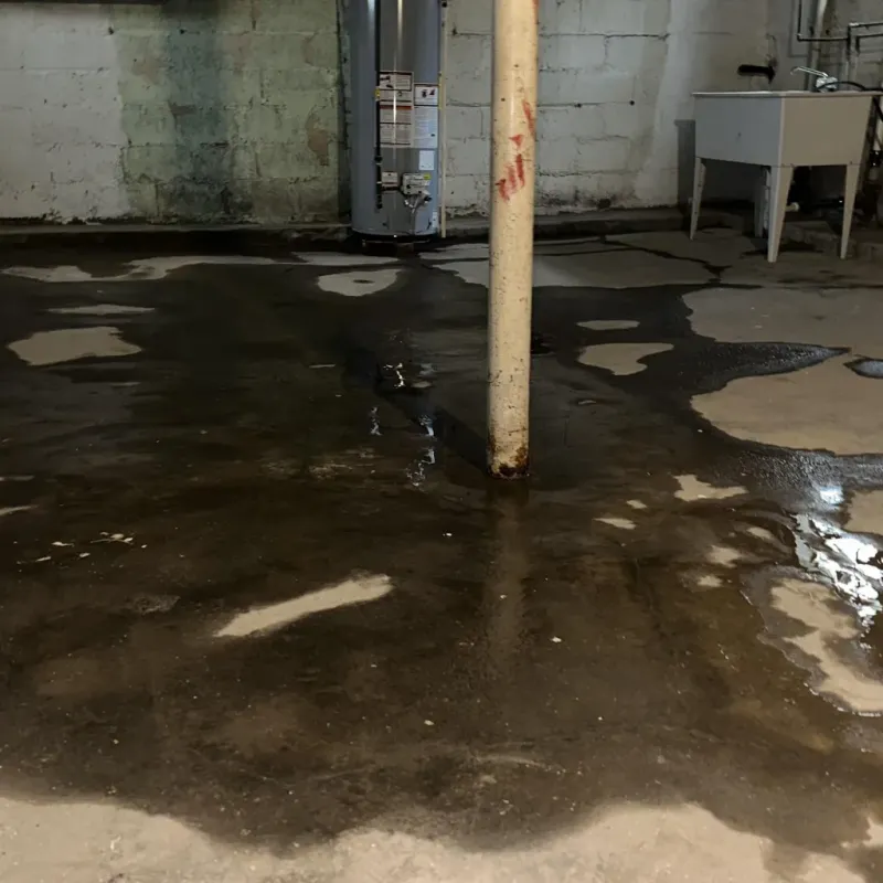 Emergency Water Extraction And Removal in South Chicago Heights, IL